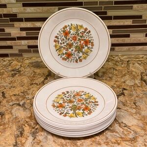 Vintage Set of 12 Corelle EXCELLENT 1977 Indian Summer 8.5” Salad Lunch Plates